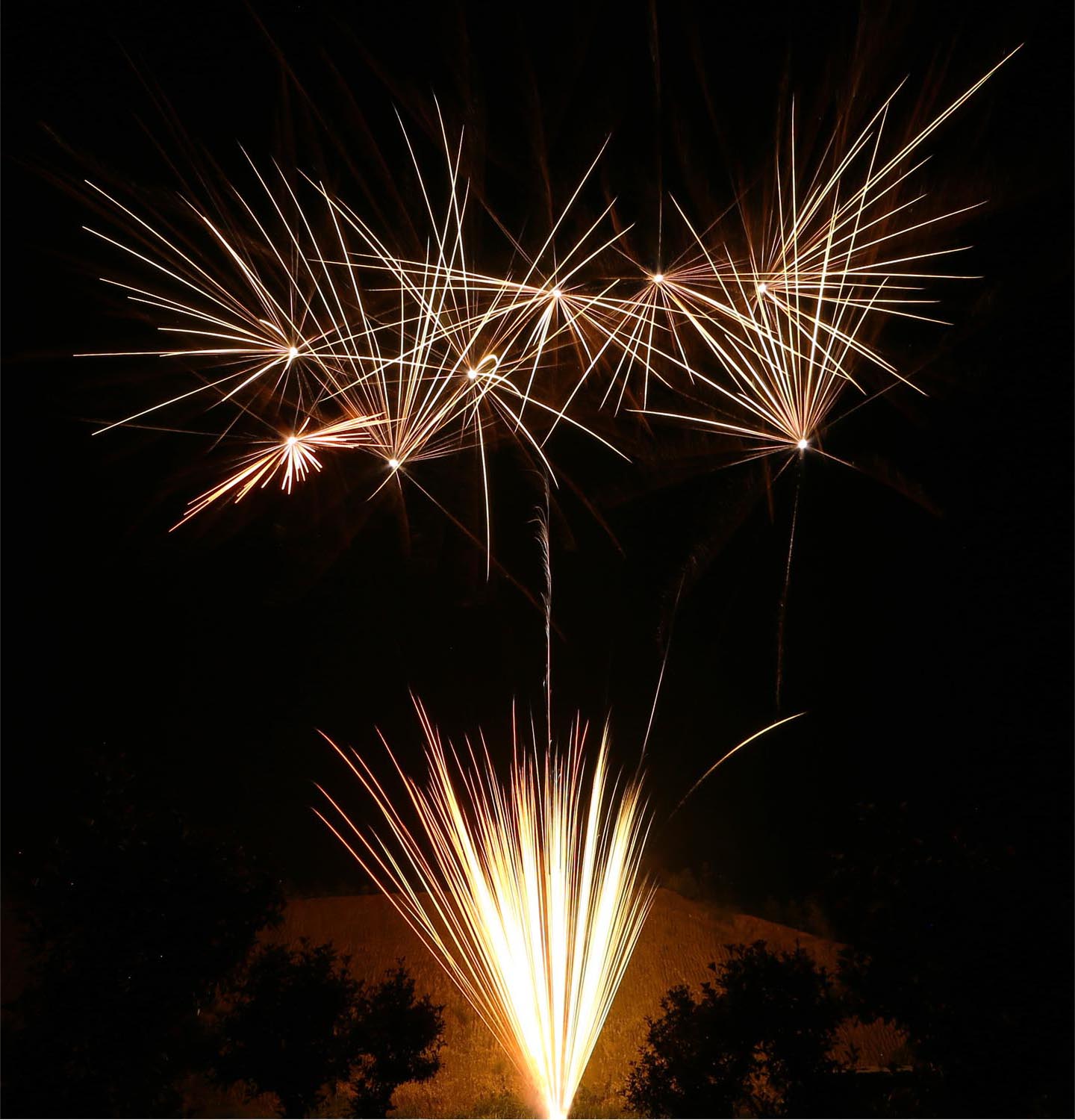 Nico | Multicolour Coconut | 49-Schuss